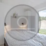 4 Bedroom Lovely In *